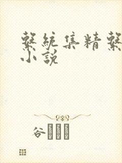 系统集精系统 小说