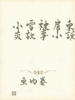 小雪被房东的好爽故事小说封面