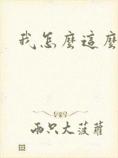 我怎么这么有钱封面