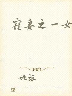 宠妻之一女二夫