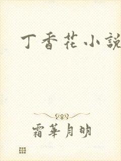 丁香花小说