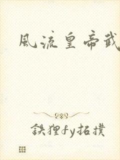 风流皇帝武则天封面