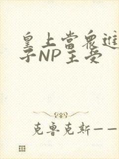 皇上当众进入太子NP主受