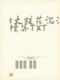 t大校花沉浮录续集TXT
