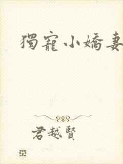 独宠小娇妻封面