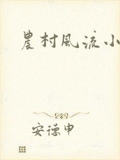 农村风流小说封面