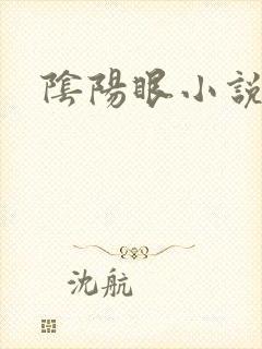 阴阳眼小说