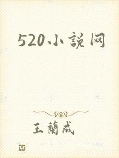 520小说网