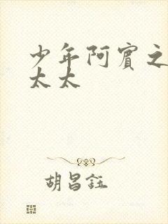 少年阿宾之房东太太