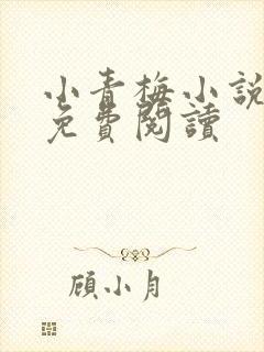 小青梅小说全文免费阅读