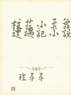 校花小柔舞蹈室遭遇记小说