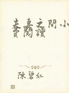 夫妻之间小说免费阅读