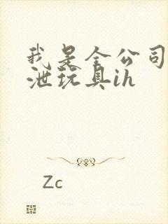 我是全公司的发泄玩具ih封面