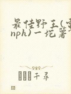 最佳野王(电竞nph)一坨薯饼封面