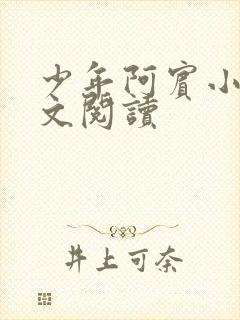 少年阿宾小说全文阅读