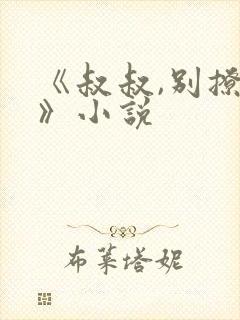 《叔叔,别撩我》小说