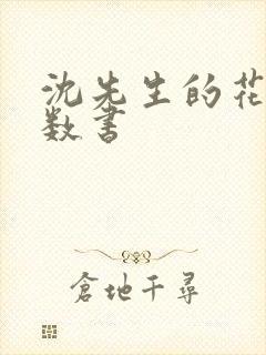 沈先生的花式调数书