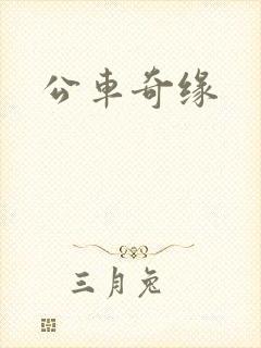 公车奇缘封面