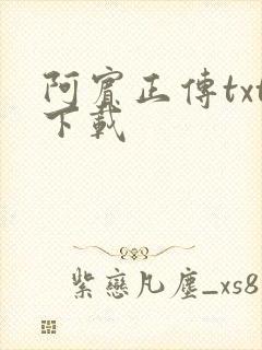 阿宾正传txt下载