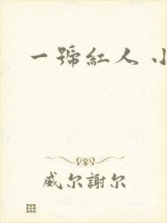 一号红人 小说