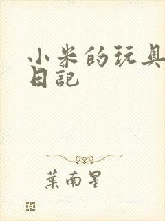 小米的玩具羞辱日记