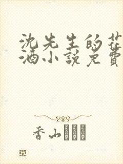 沈先生的花式调酒小说免费阅读