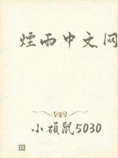 烟雨中文网封面