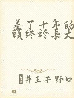 养了十年的小丫头终于长大了