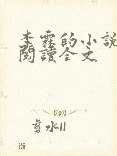 李霖的小说免费阅读全文