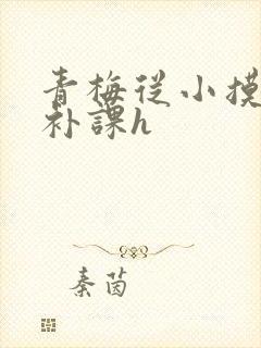 青梅从小摸到大补课h封面