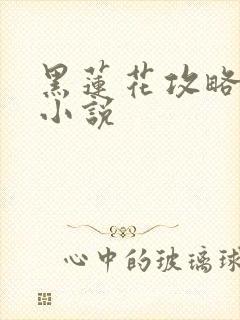 黑莲花攻略手册小说
