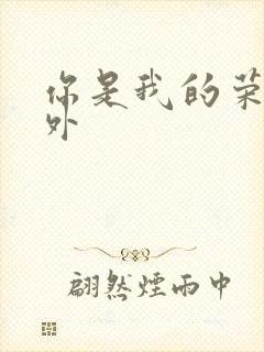 你是我的荣耀番外封面