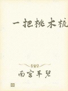 一把桃木梳封面