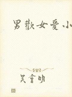 男欢女爱小说