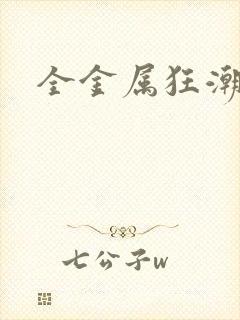 全金属狂潮小说