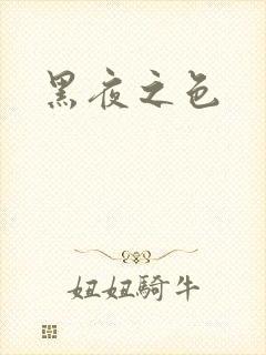 黑夜之色封面