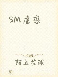 SM虐恋封面
