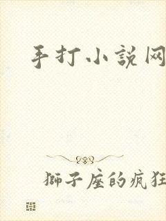 手打小说网