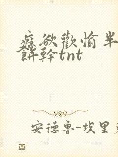 瘾欲欢愉半块小饼干tnt