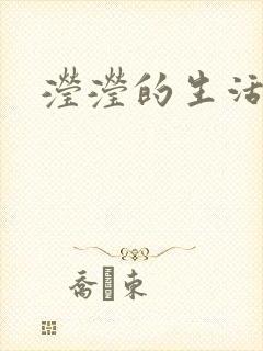 滢滢的生活日记封面