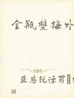 金瓶双梅外传封面