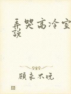 弄哭高冷室友小说