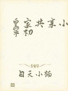 皇家共享小公主宁初