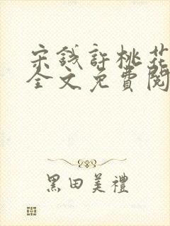 宋钱许桃花小说全文免费阅读封面