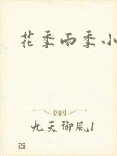 花季雨季小说封面