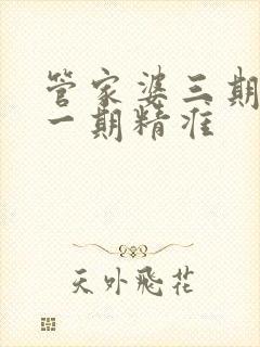 管家婆三期必开一期精准