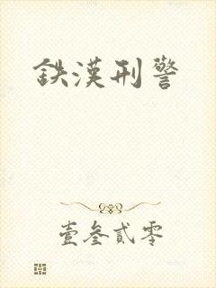 铁汉刑警封面