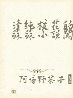 清纯校花的日常苏苏小说阅读全文