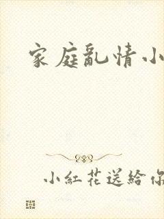 家庭乱情小说封面
