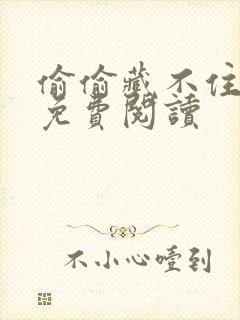 偷偷藏不住小说免费阅读